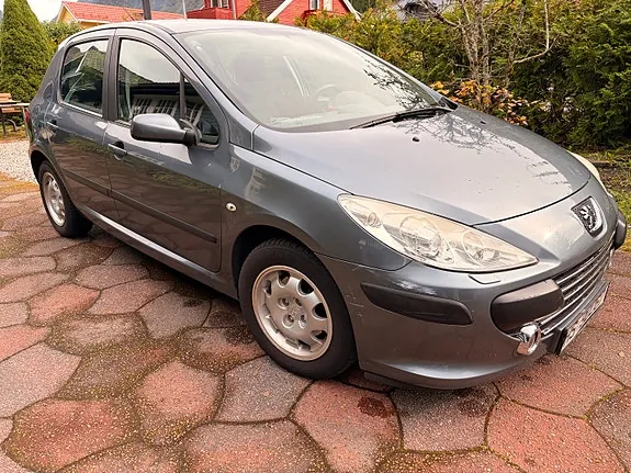 Peugeot 307 2006 photo 2