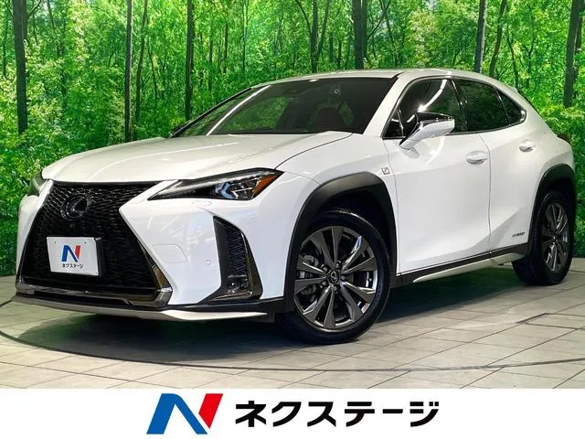 Lexus Ux250H F-Sport