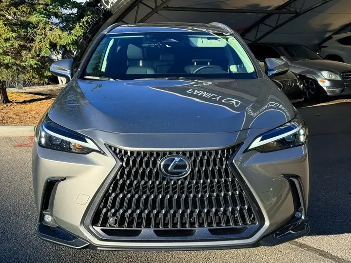 Lexus Nx 2026 photo 2