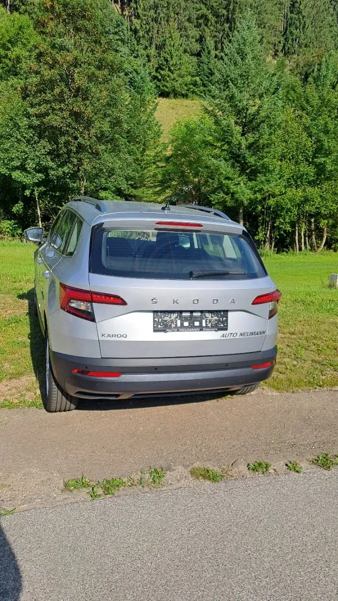 Skoda Karoq 2021 photo 2