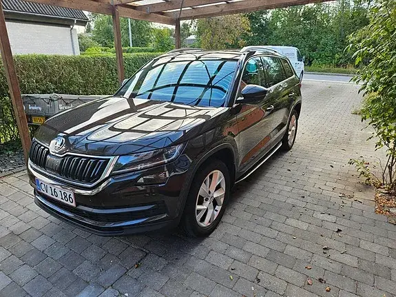 Skoda Kodiaq 2021 photo 3