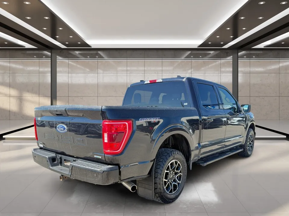 Ford F-150 2023 photo 3
