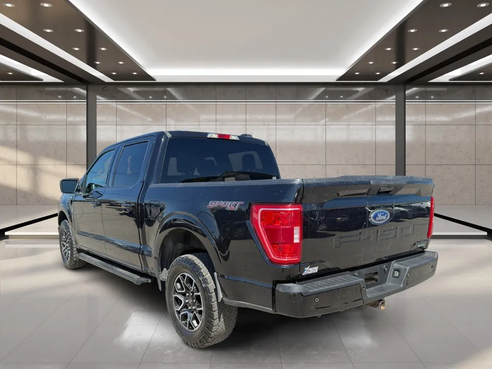 Ford F-150 2023 photo 4