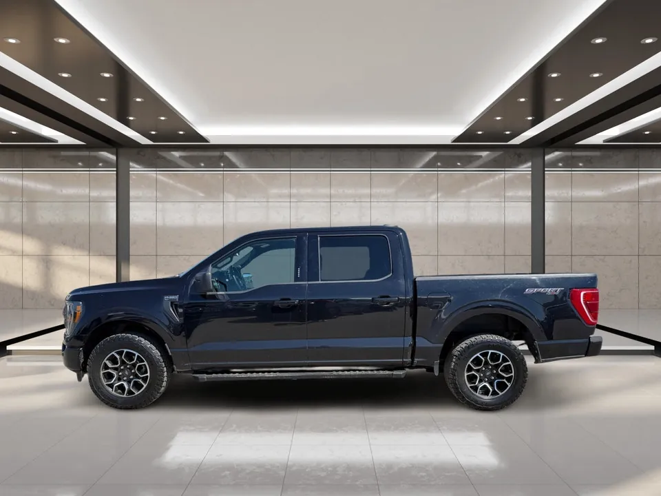 Ford F-150 2023 photo 5