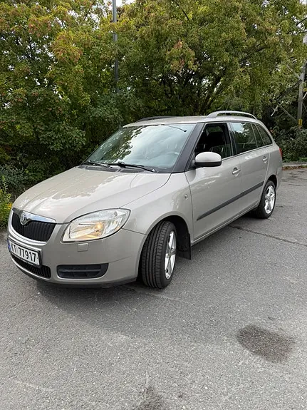 Skoda Fabia 2010 photo 2