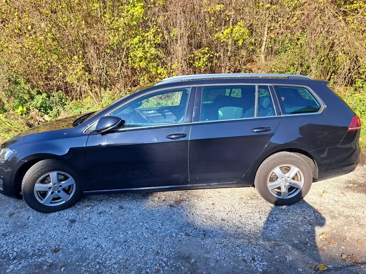 Volkswagen Golf Variant 2014 photo 2