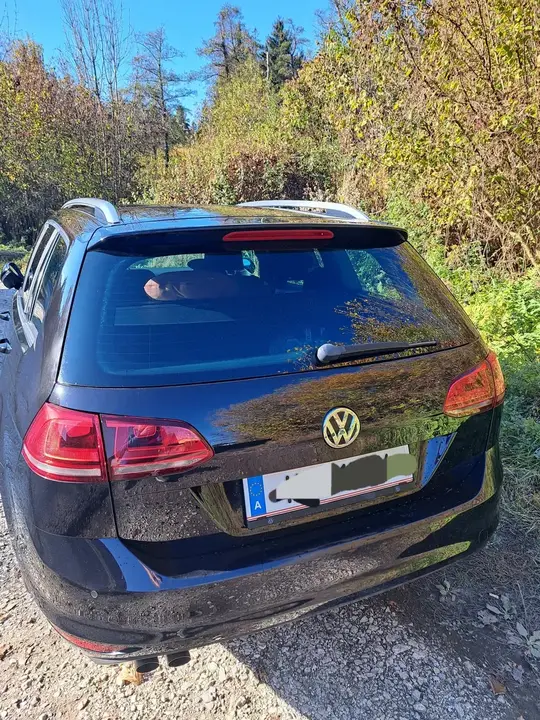 Volkswagen Golf Variant 2014 photo 3