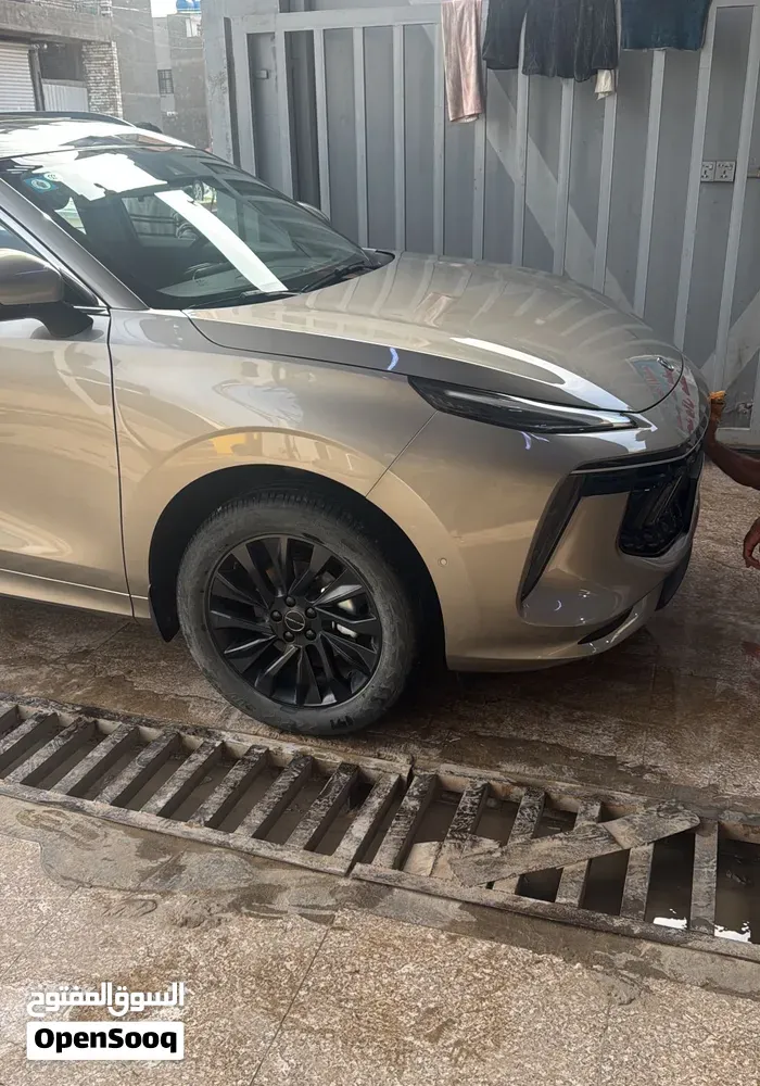Dongfeng Forthing 2024 photo 2