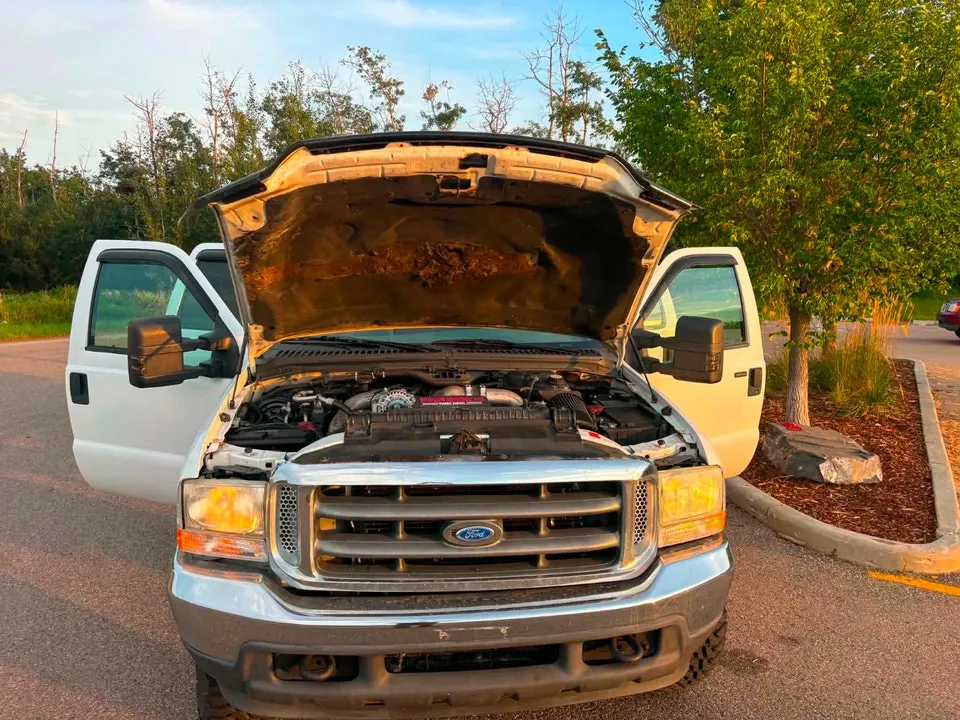 Ford Excursion 2003 photo 3