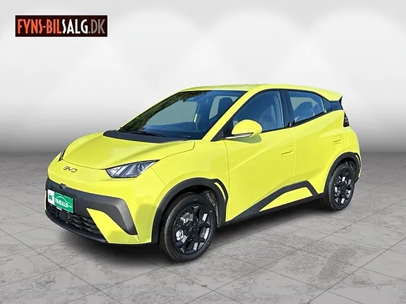 BYD Dolphin Surf