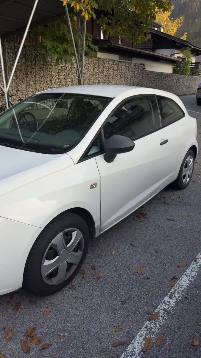 Seat Ibiza 2010 photo 3