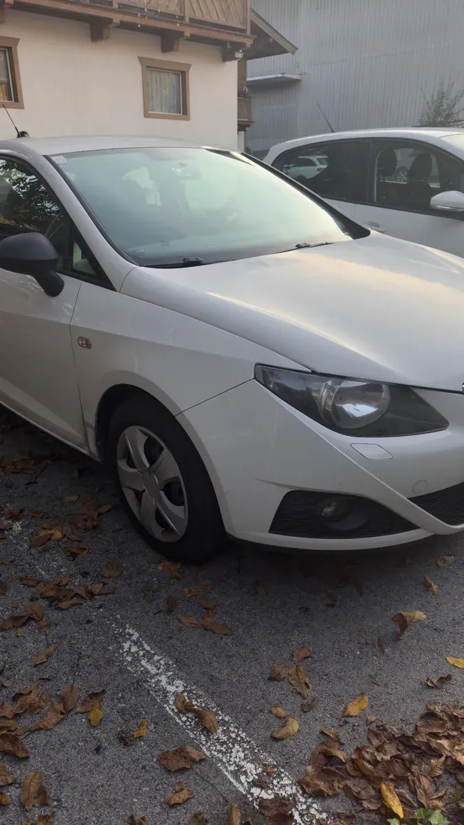 Seat Ibiza 2010 photo 2