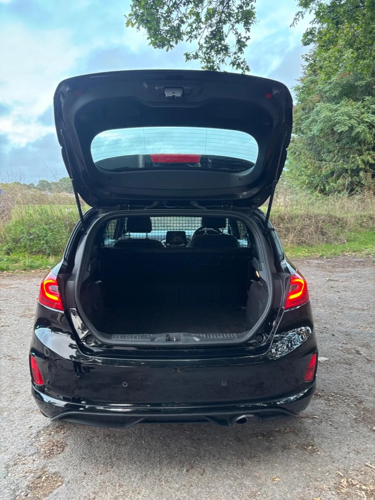 Ford Fiesta Van 2020 photo 4