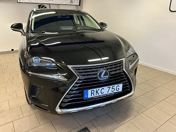 Lexus Nx300H 2019 photo 5