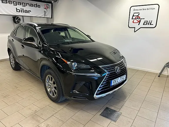 Lexus Nx300H 2019 photo 2