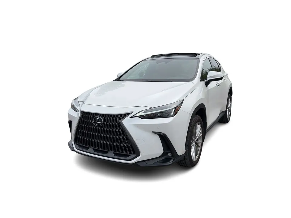 Lexus Nx 2024 photo 5