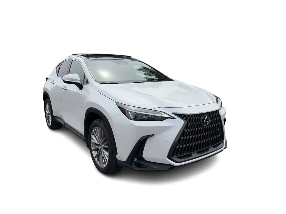 Lexus Nx 2024 photo 3