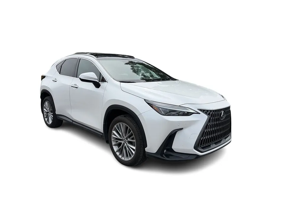 Lexus Nx 2024 photo 2