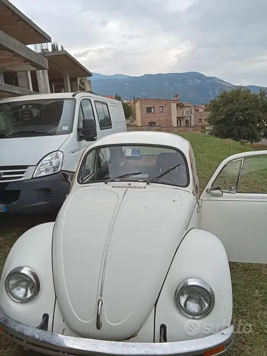 Volkswagen Maggiolino
