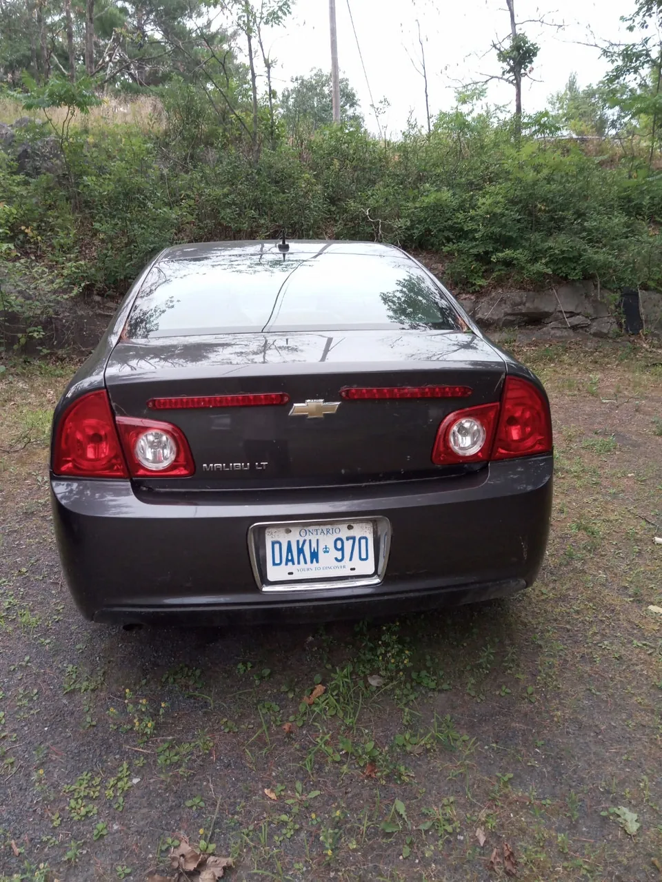 Chevrolet Malibu 2010 photo 3