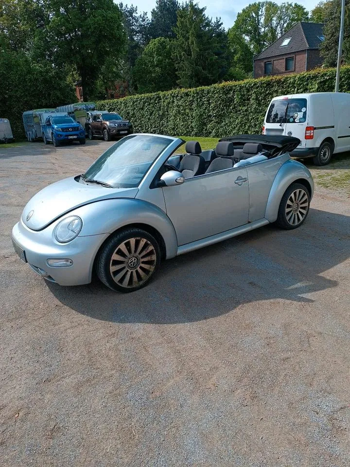 Volkswagen Beetle Cabrio