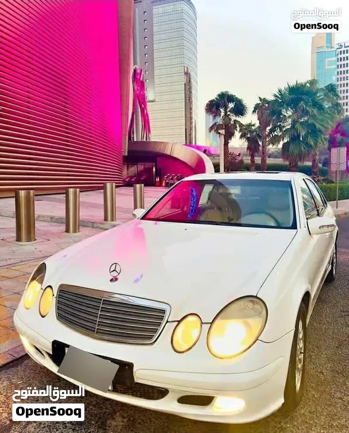 Mercedes-Benz E-Class 2006 photo 5