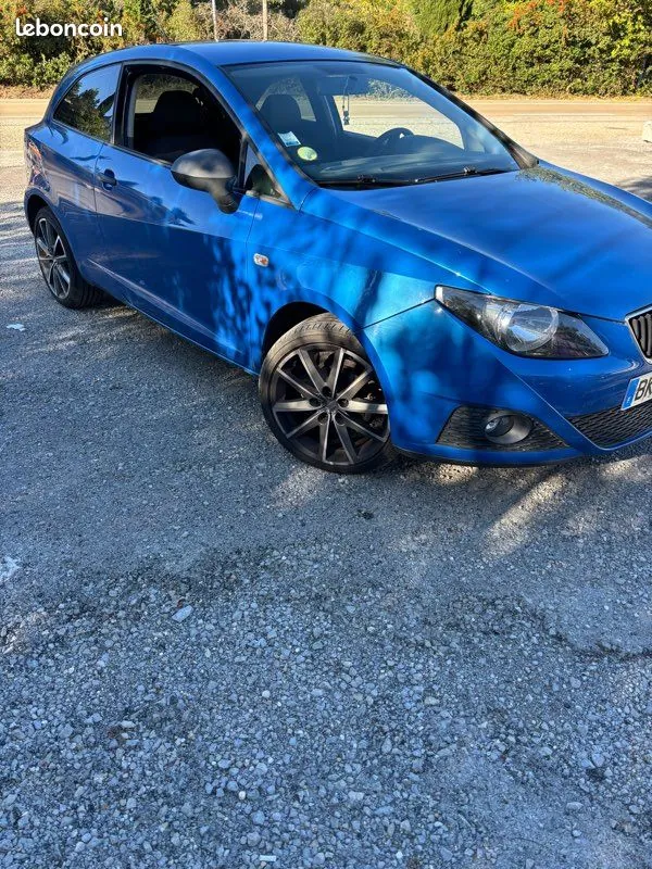 Seat Ibiza 2011 photo 2