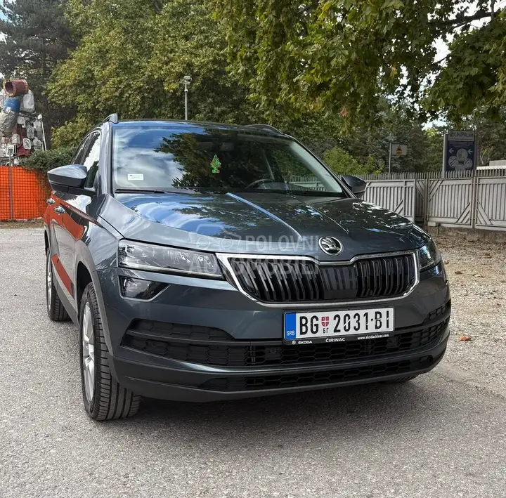Skoda Karoq 2019 photo 3
