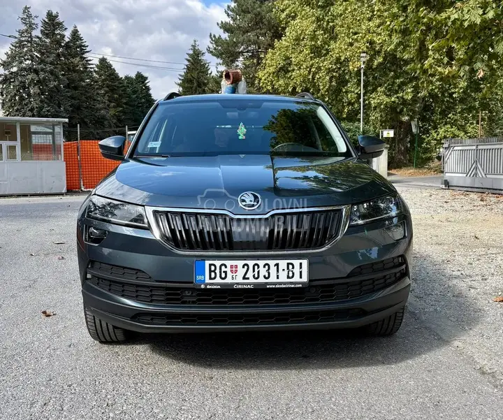 Skoda Karoq 2019 photo 2