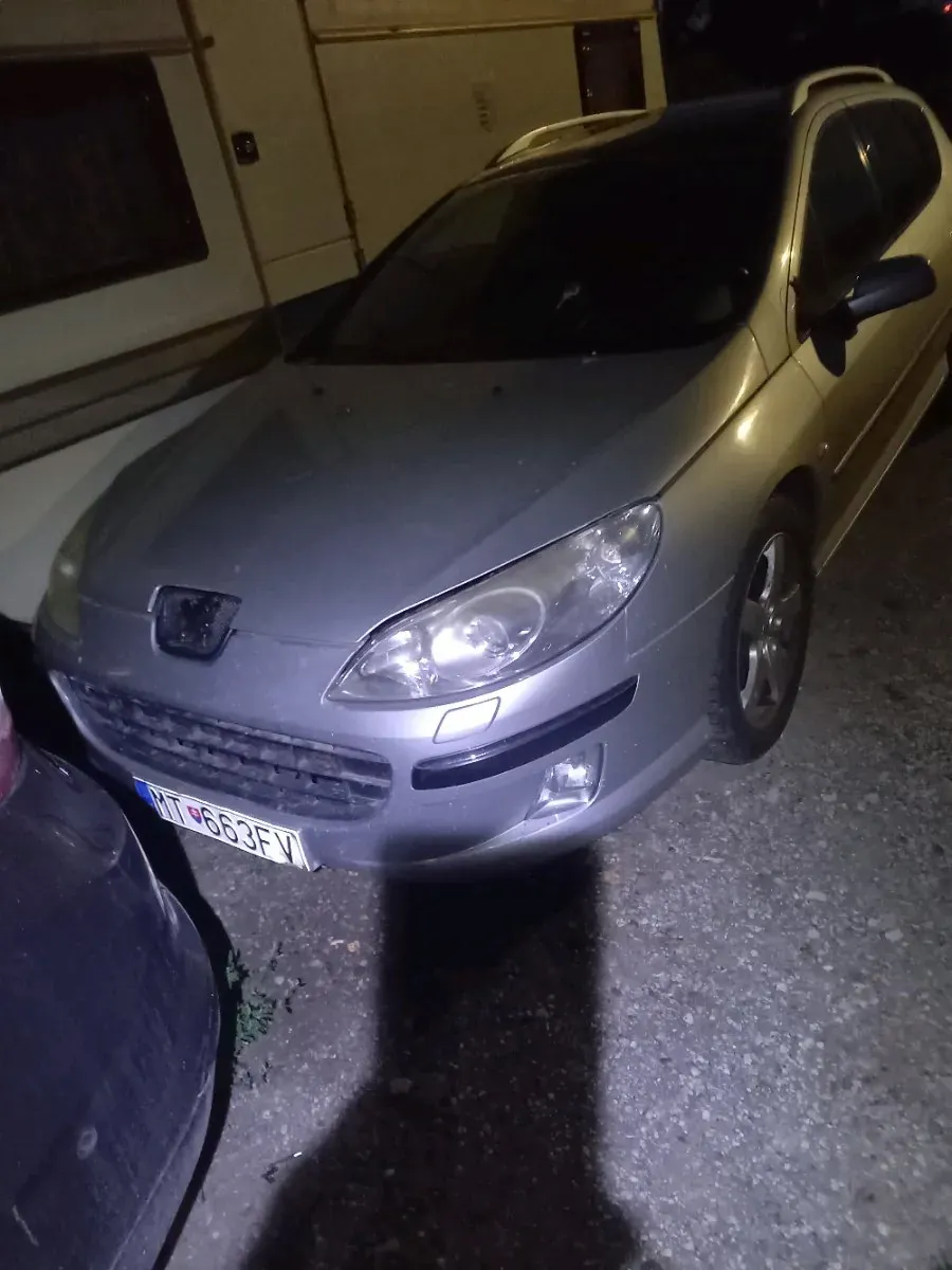 Peugeot 407 2009 photo 2