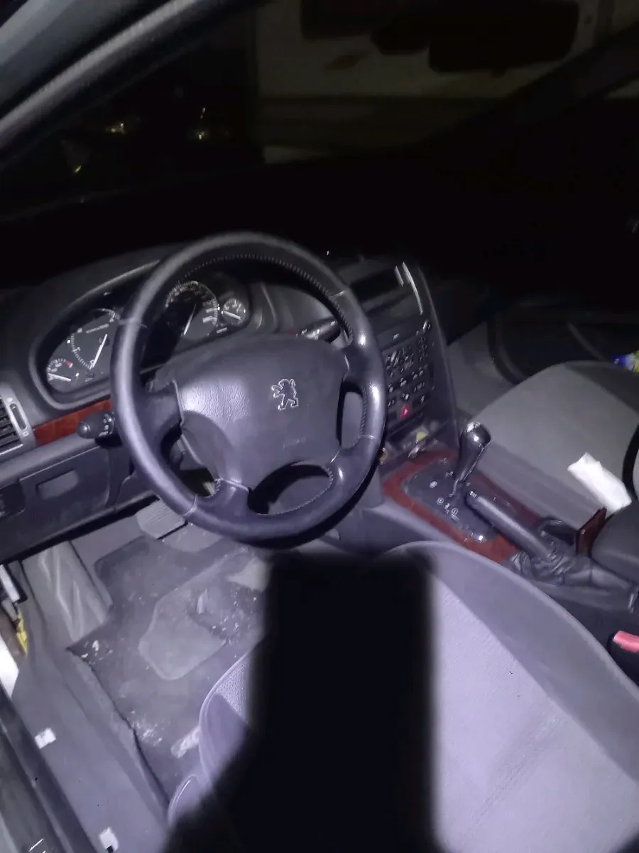Peugeot 407 2009 photo 3