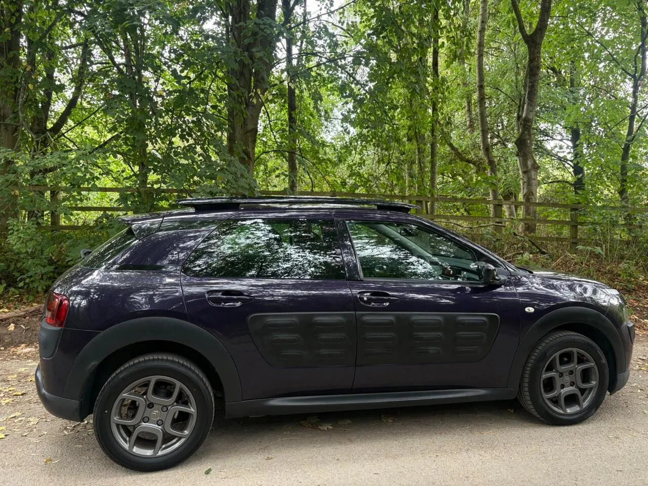 Citroen C4 Cactus 2015 photo 4
