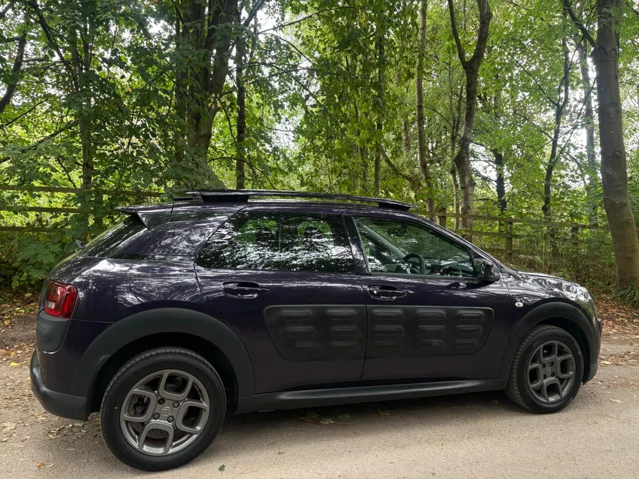 Citroen C4 Cactus 2015 photo 5