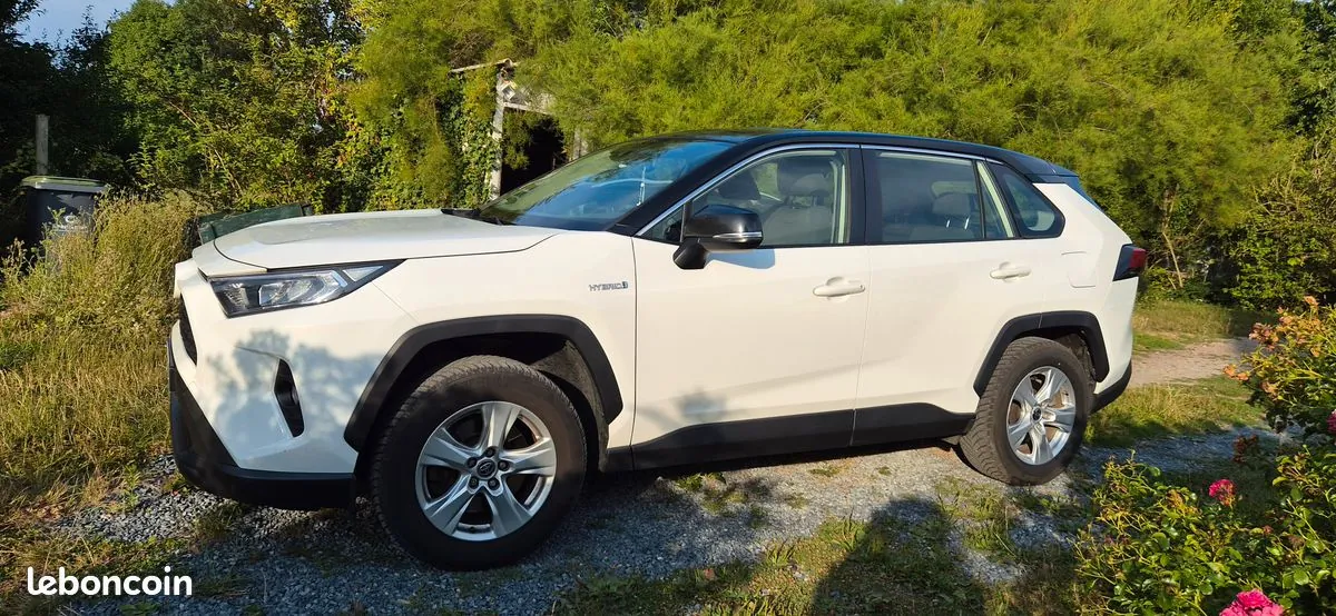 Toyota Rav4 2020 photo 3