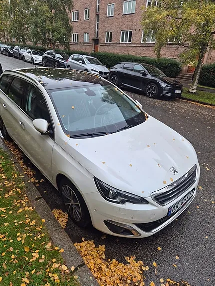 Peugeot 308 Sw 2015 photo 2