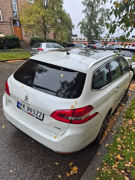 Peugeot 308 Sw 2015 photo 3
