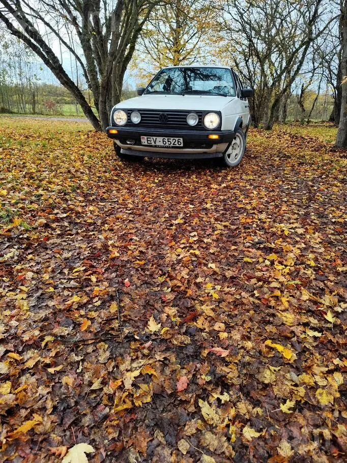 Volkswagen Golf 2 1989 photo 2