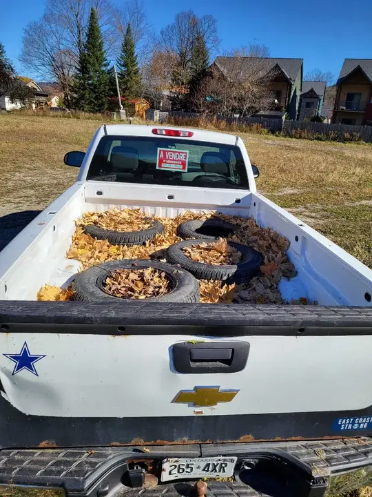 Chevrolet Silverado 1500 2009 photo 4