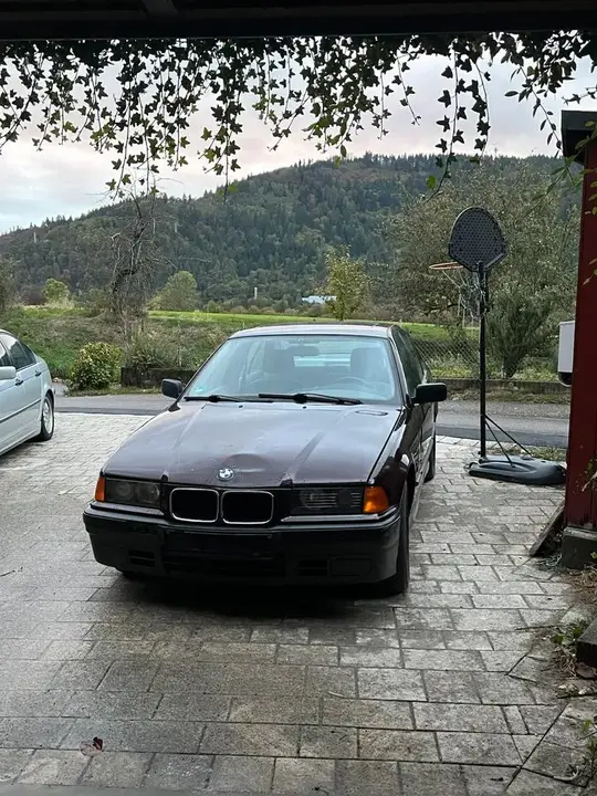 BMW E36