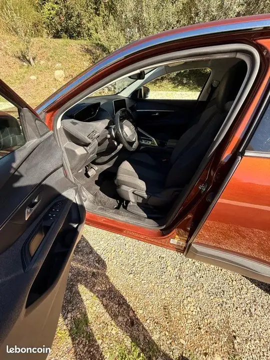 Peugeot 3008 2019 photo 3