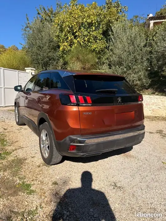 Peugeot 3008 2019 photo 2