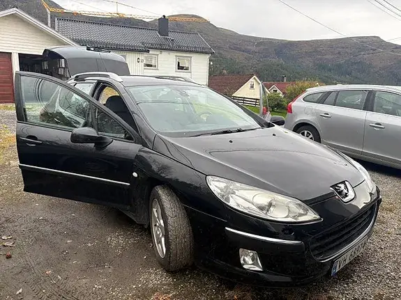 Peugeot 407 2005 photo 2