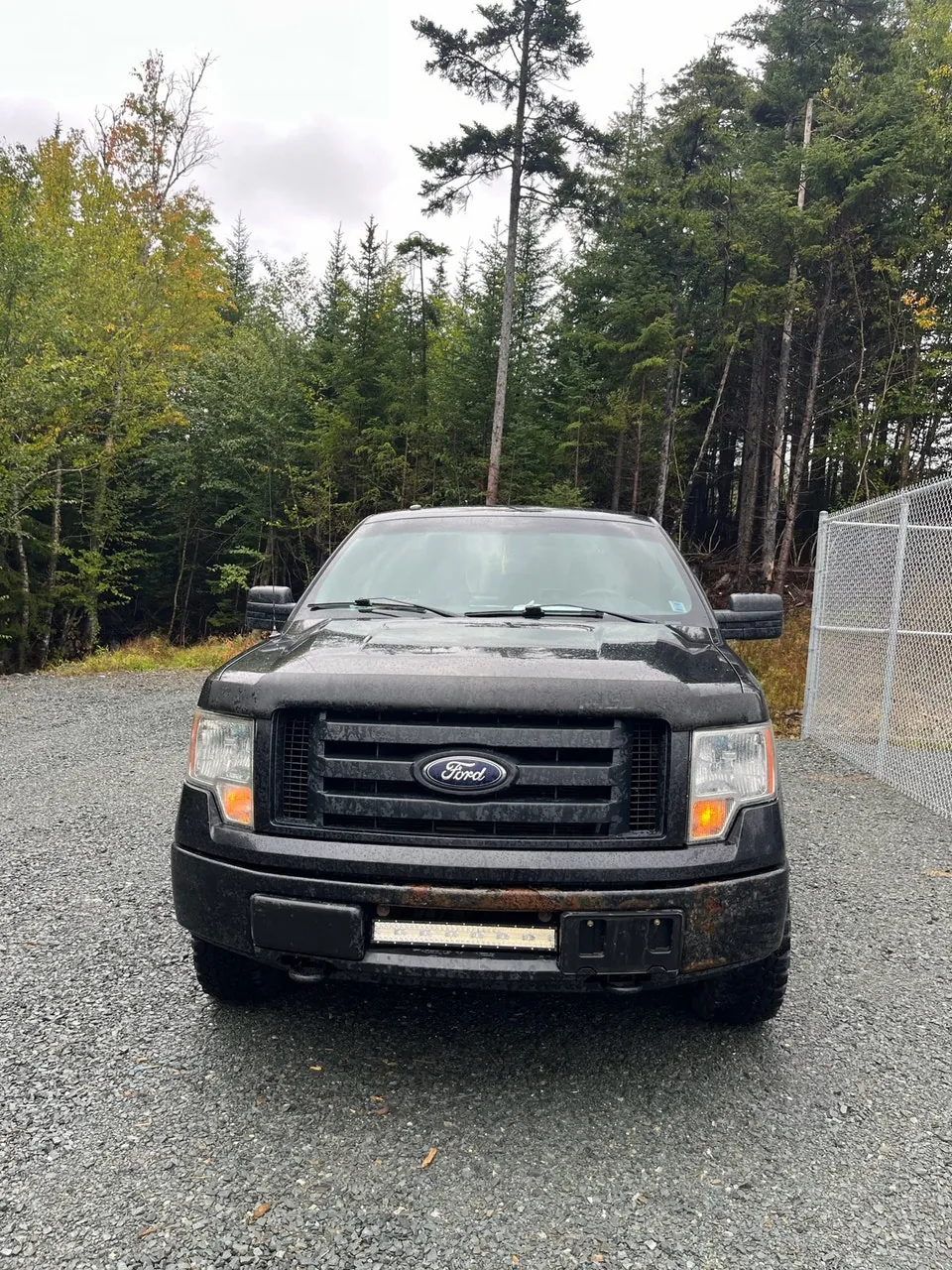 Ford F-150 2012 photo 2