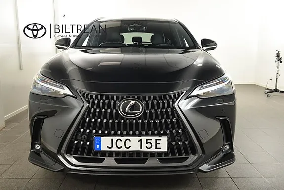 Lexus Nx450H+ 2024 photo 5