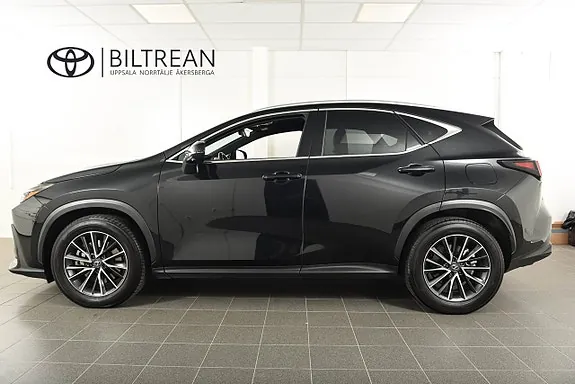 Lexus Nx450H+ 2024 photo 2