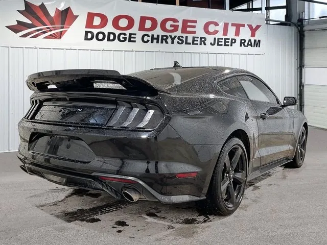 Ford Mustang 2023 photo 5