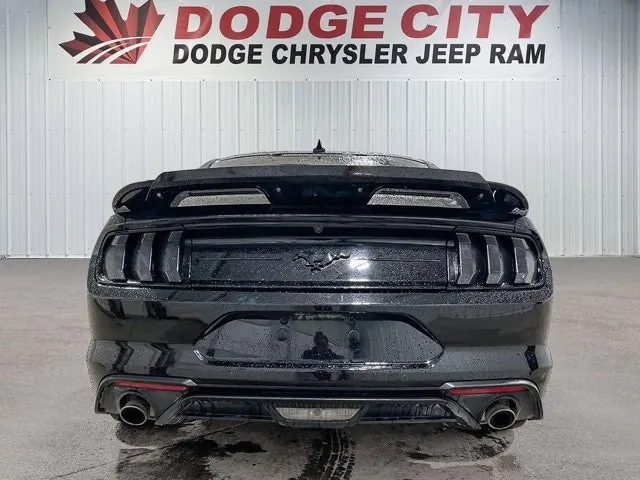 Ford Mustang 2023 photo 4