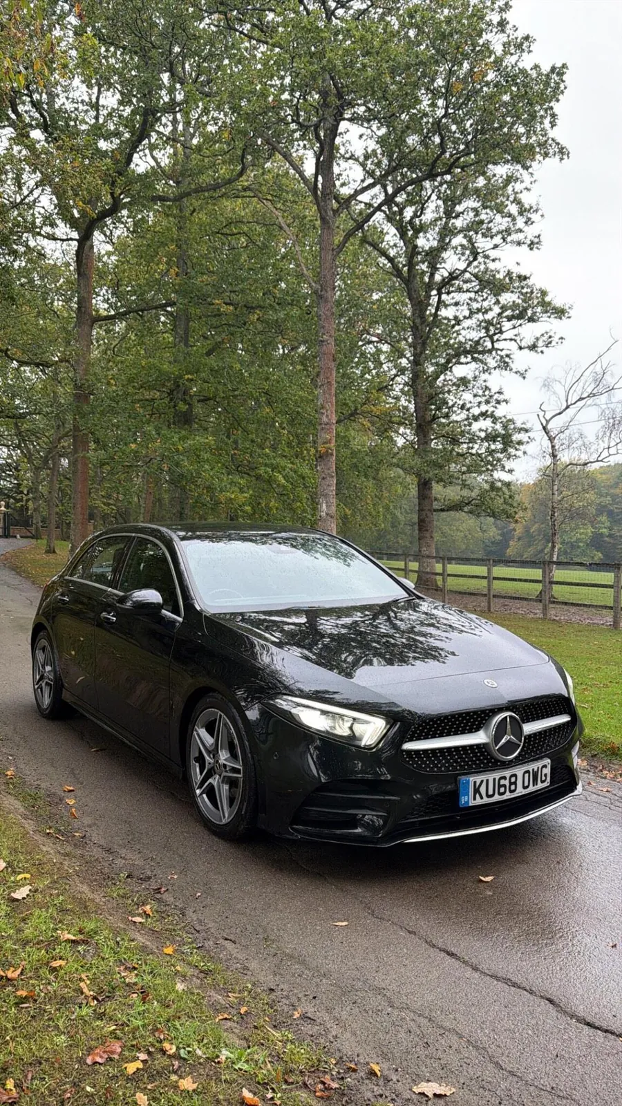Mercedes-Benz A-Class 2018 photo 2