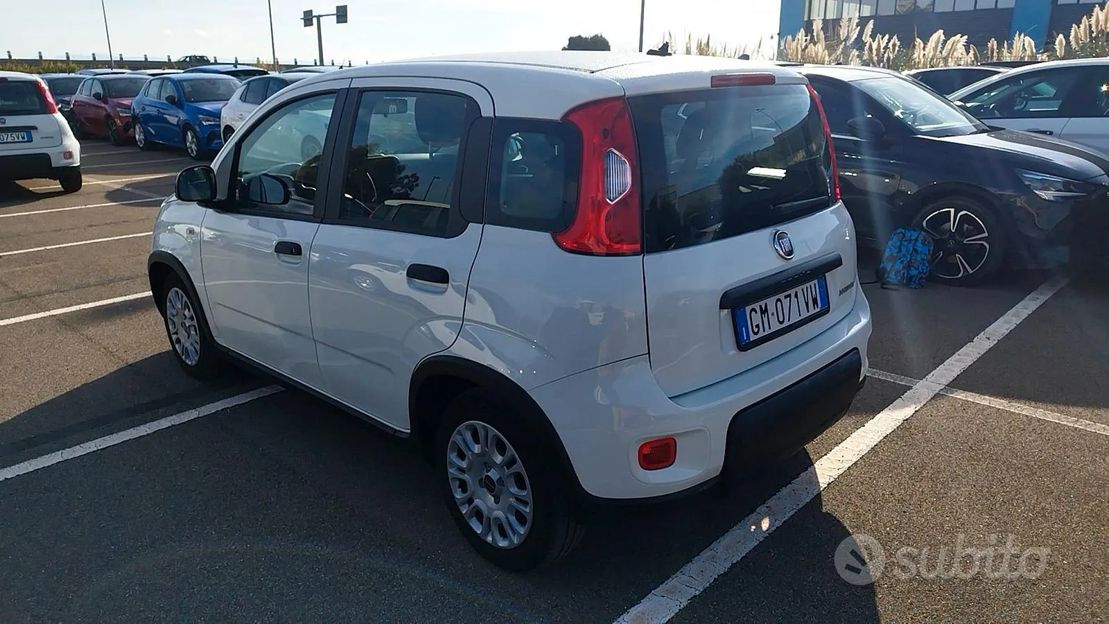 Fiat Panda 2022 photo 3