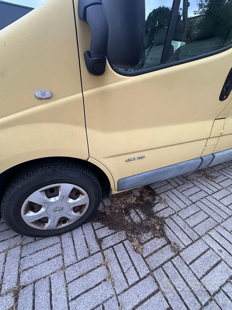 Nissan Primastar 2007 photo 4